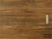 HTL009 Spotted Gum