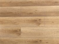 SPC Vinyl-HTS301 Autumn Oak