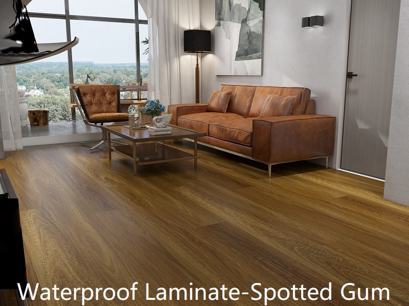 Spotted Gum Laminate Flooring