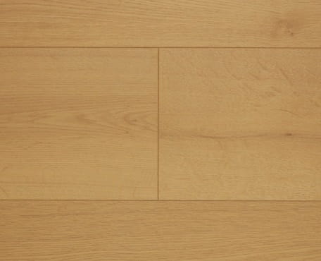 Honeybee-Aspect Laminate