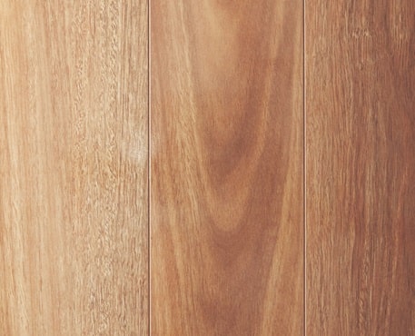 Mountain Spotted Gum-Classic Laminate