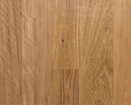 Select Engineered Timber-Blackbutt