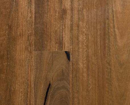 Select Engineered Timber- Spotted Gum