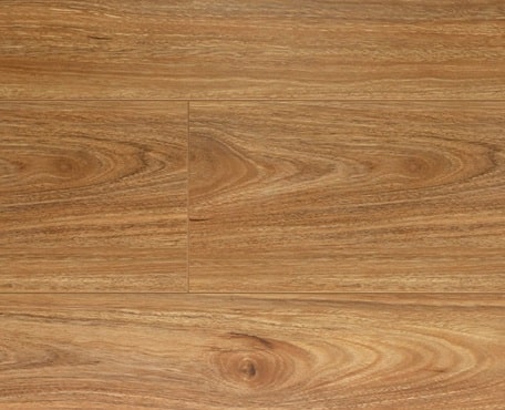 Spotted Gum-Oakleaf Laminate