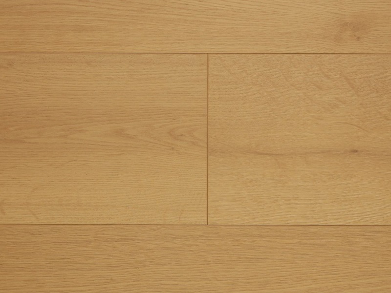 Honeybee-Aspect Laminate