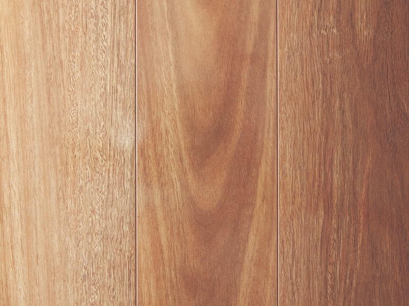 Mountain Spotted Gum-Classic Laminate