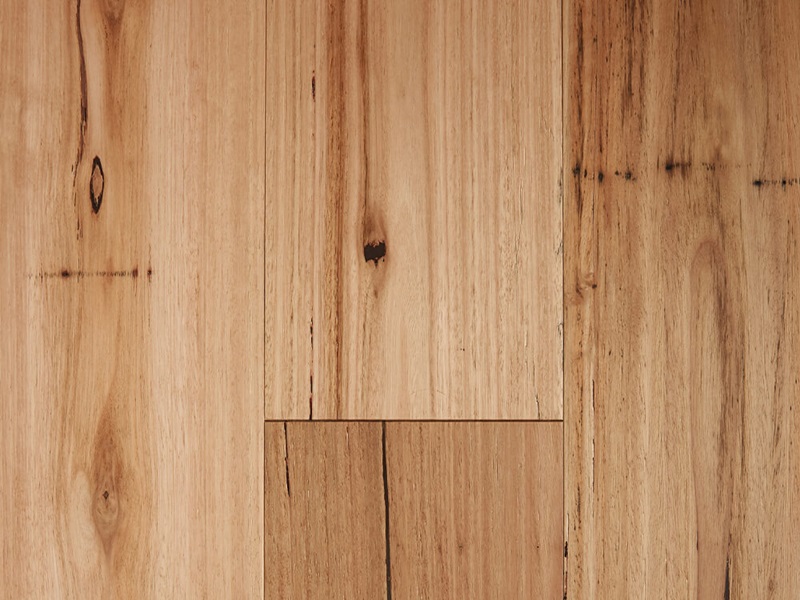 Select Engineered Timber-Rustic Blackbutt